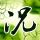 西部世界